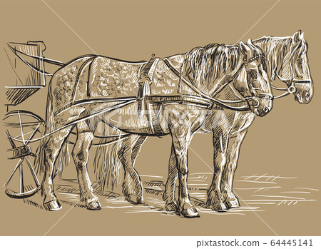 Vector harness horses 64445141