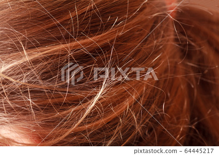 Macro image of brown hair of the woman as background Macro image of brown hair of the woman as background 64445217