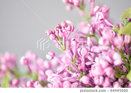 Closeup of lilac flowers. Spring bouquet in a wicker basket.. Learning flower arranging, making beautiful bouquets with your own hands. Flowers delivery Closeup of lilac flowers. Spring bouquet in a wicker basket.. Learning flower arranging, making beautiful bouquets with your own hands. Flowers delivery 64445680