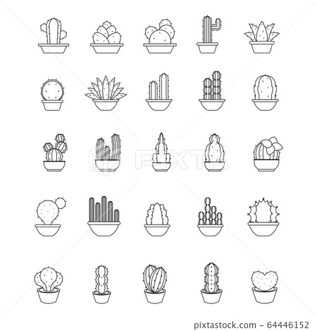 Set of cactus icons 64446152