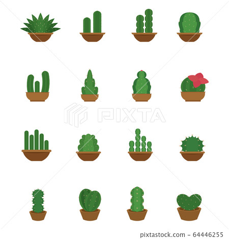 Set of cactus icons 64446255