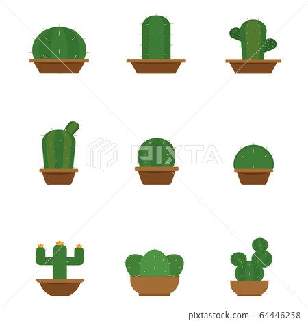 Set of cactus icons Set of cactus icons 64446258