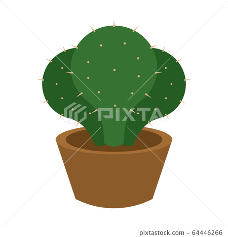 Cactus icon in a pot plant 64446266