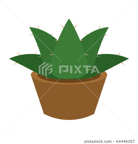 Cactus icon in a pot plant 64446267