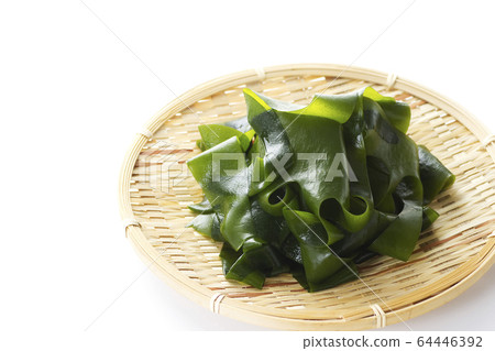 白裙帶菜7 白裙帶菜7 64446392