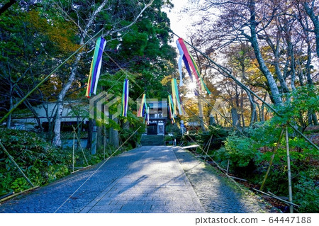 寺廟方式，燈光和協作場景 64447188