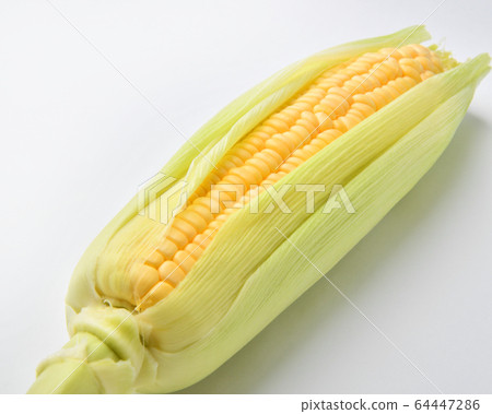 玉米 64447286