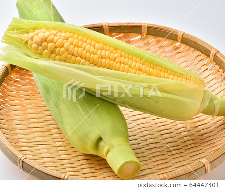 Corn 64447301
