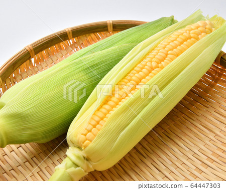 Corn 64447303