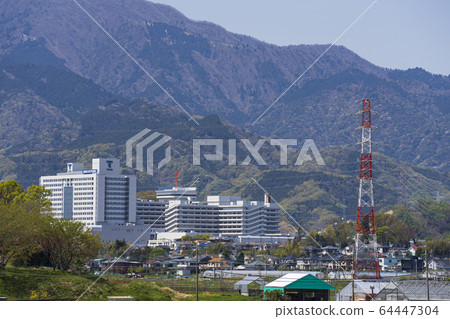 Tokai University Hospital Tokai University Hospital 64447304