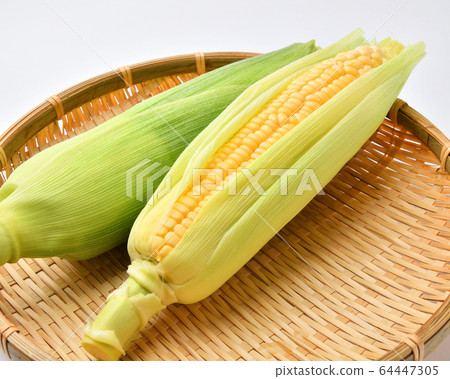 Corn Corn 64447305