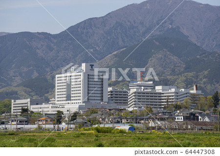 東海大學醫院 64447308
