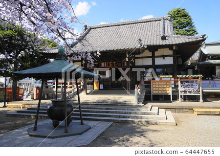 3月中野69新井藥師梅穗院三門/中之櫻祭 3月中野69新井藥師梅穗院三門/中之櫻祭 64447655