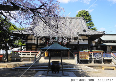 3月中野68新井藥師梅穗院三門/中之櫻祭 3月中野68新井藥師梅穗院三門/中之櫻祭 64447657