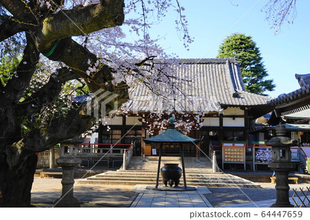 March Nakano 66 Arai Yakushi Umeteruin Sanmon / Nakanodori Sakura Festival March Nakano 66 Arai Yakushi Umeteruin Sanmon / Nakanodori Sakura Festival 64447659