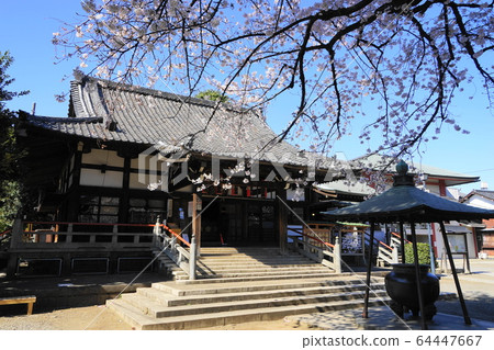 March Nakano 59 Arai Yakushi Umeshoin Sanmon / Nakanodori Sakura Festival March Nakano 59 Arai Yakushi Umeshoin Sanmon / Nakanodori Sakura Festival 64447667