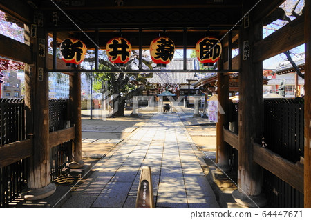 3月中野56新井藥師梅穗院三門/中之櫻祭 64447671