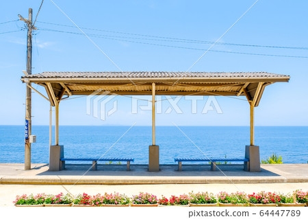 Shimada Shimada 64447789