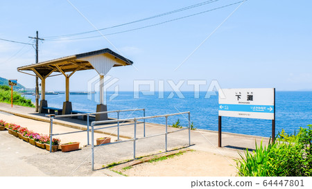 Shimada Shimada 64447801