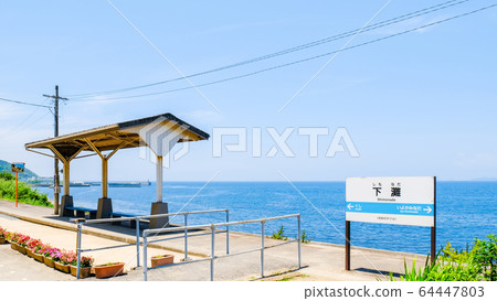 Shimada Shimada 64447803