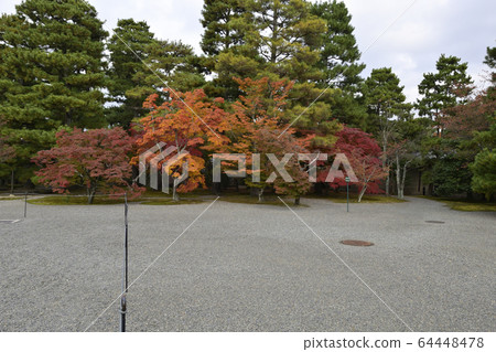 京都御所 京都御所 64448478