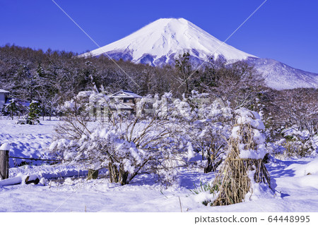 （山梨縣）忍野/富士山/雪景 64448995
