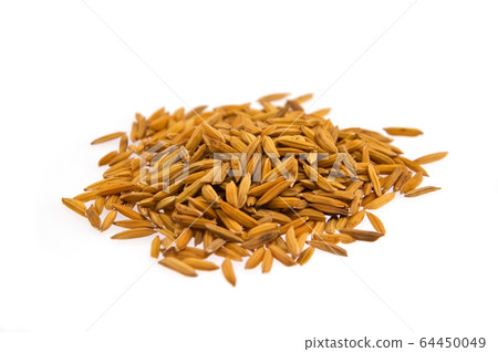 paddy on white background paddy on white background 64450049