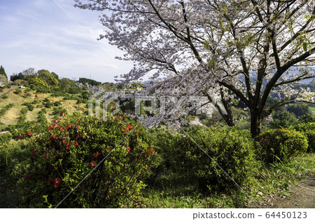公園 公園 64450123