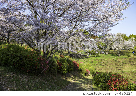 公園 公園 64450124