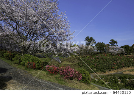 公園 公園 64450130