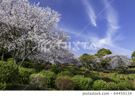 park park 64450134