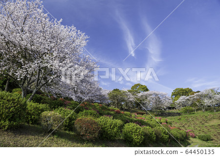 park park 64450135