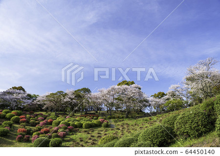 park park 64450140