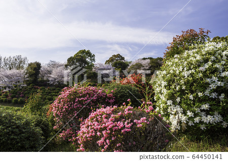 公園 公園 64450141