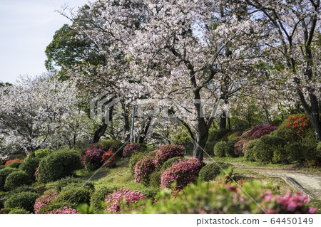 park park 64450149