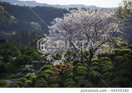 公園 公園 64450160