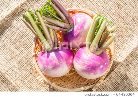蕪菁 64450304