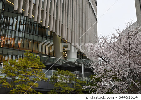 大阪和櫻花大前線 64451514