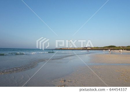 Jeju Island, nature, landscape, travel, domestic travel, sea, beach 64454337