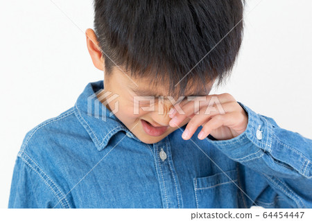 hay fever hay fever 64454447
