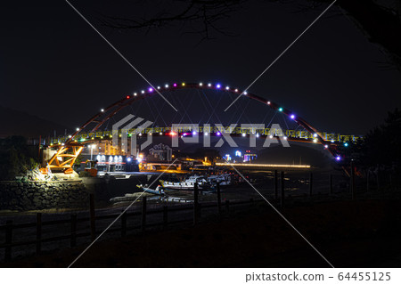 Taean Flower Field Night View Taean Flower Field Night View 64455125