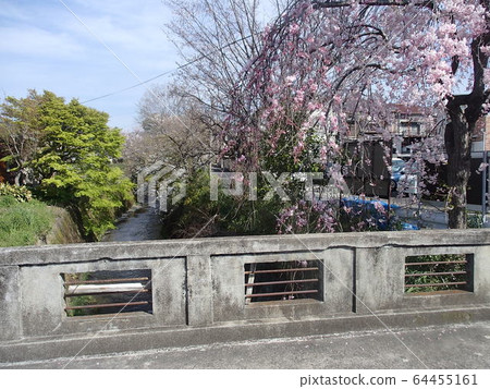 Satoyama Satoyama 64455161