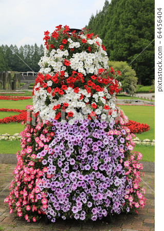 Petunia tower Petunia tower 64456404