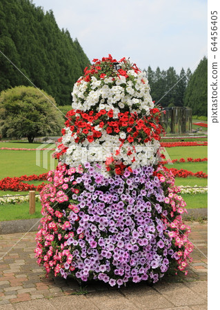 Petunia tower 64456405