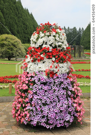 Petunia tower 64456409