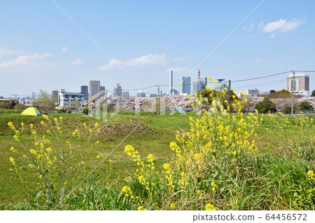 Breath of Spring Urawa, Saitama Shintoshin 64456572