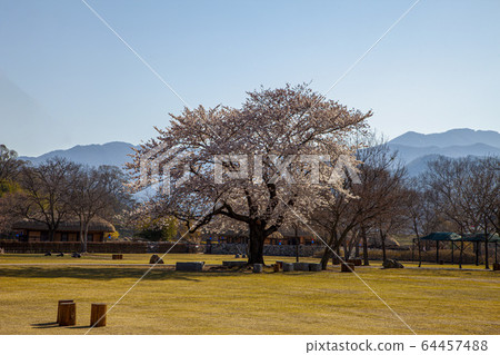 海米邑城瑞山忠南 海米邑城瑞山忠南 64457488