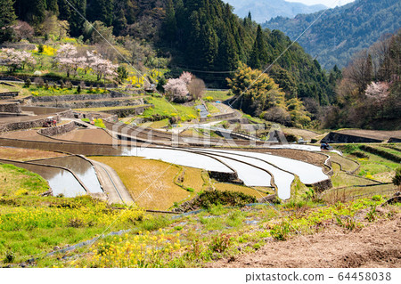 Ina Tanada Spring in Hiroshima Prefecture 64458038