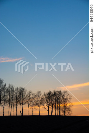 美麗的夕陽的天空@美瑛鎮 64458046