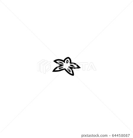 Star anise. Isolated on a white background . 64458087
